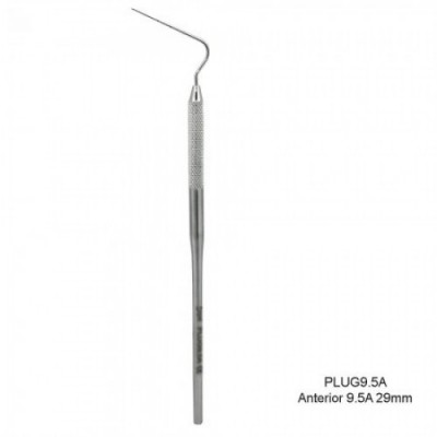 Anterior 9.5 (29mm)